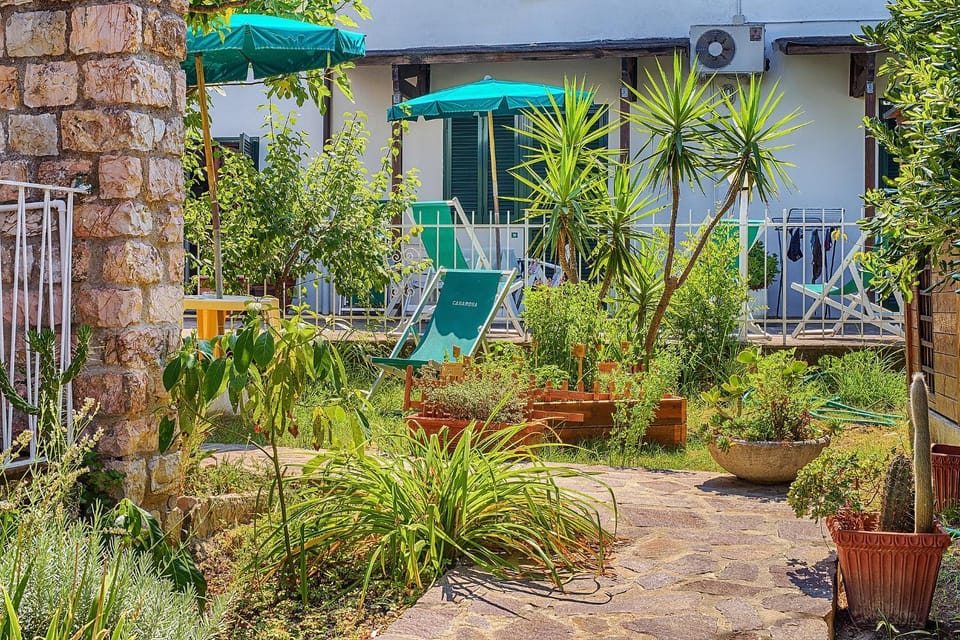 Garden, Garden, Garden view, Garden view