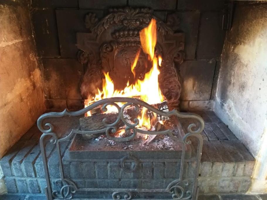 grande villa en plein coeur du parc du perche Villa in Nogent-le-Rotrou