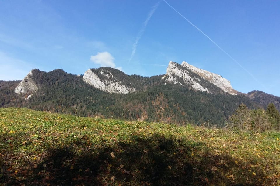 Nearby landmark