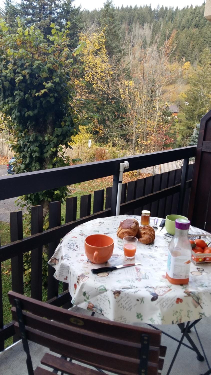 Balcony/Terrace
