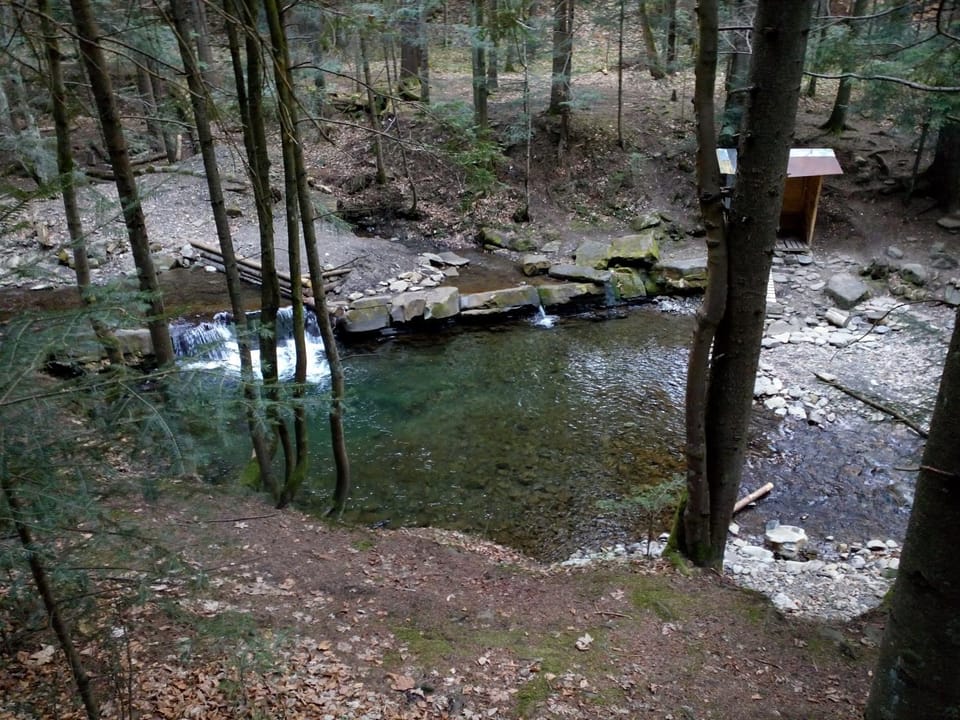 Natural landscape