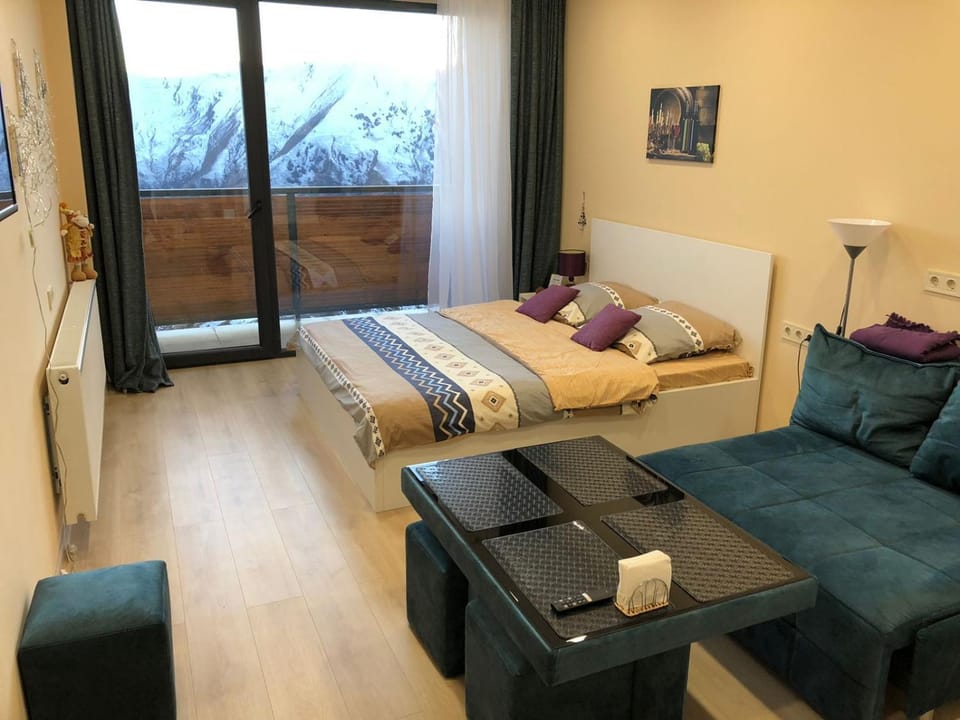 Photo of the whole room, Mountain view