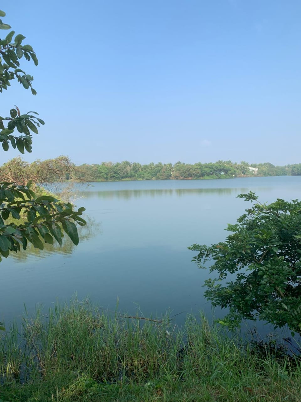 Natural landscape