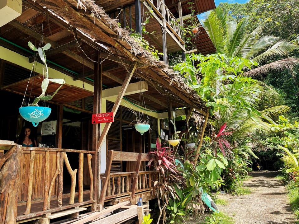 Patio, Garden, Lobby or reception, Garden view