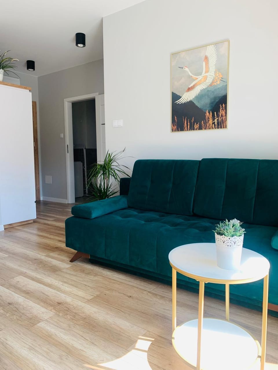 Apartament Stemar z dyżym baloknem Apartment in West Pomeranian Voivodeship, Poland