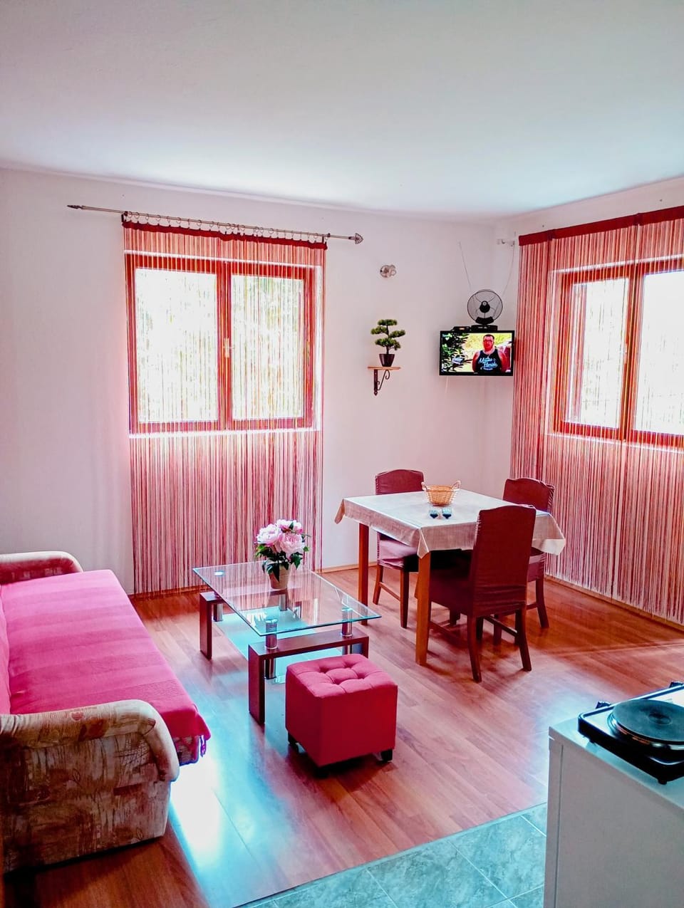 Bed, TV and multimedia, Living room, Photo of the whole room, Seating area, Dining area, Animals, Bedroom, Pets, Pets, pet friendly