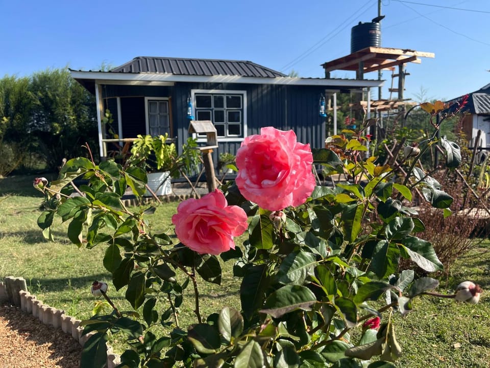 Property building, Garden view