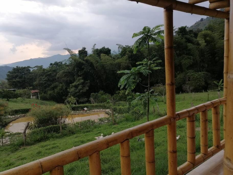 View (from property/room)