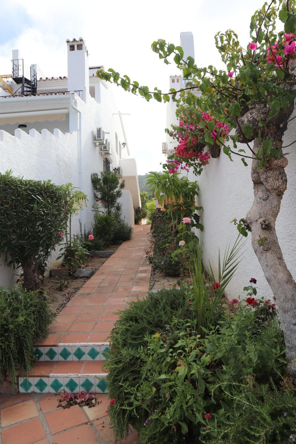Garden view
