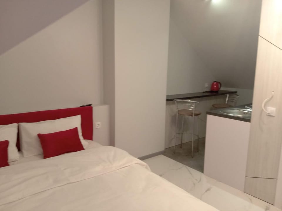 Apartments VIP 39 Kn Olgy st Apartment in Lviv