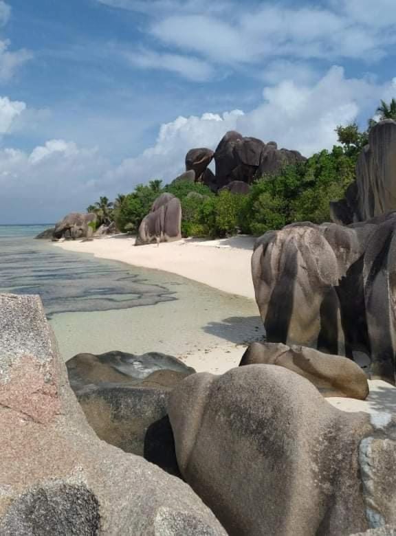 Natural landscape