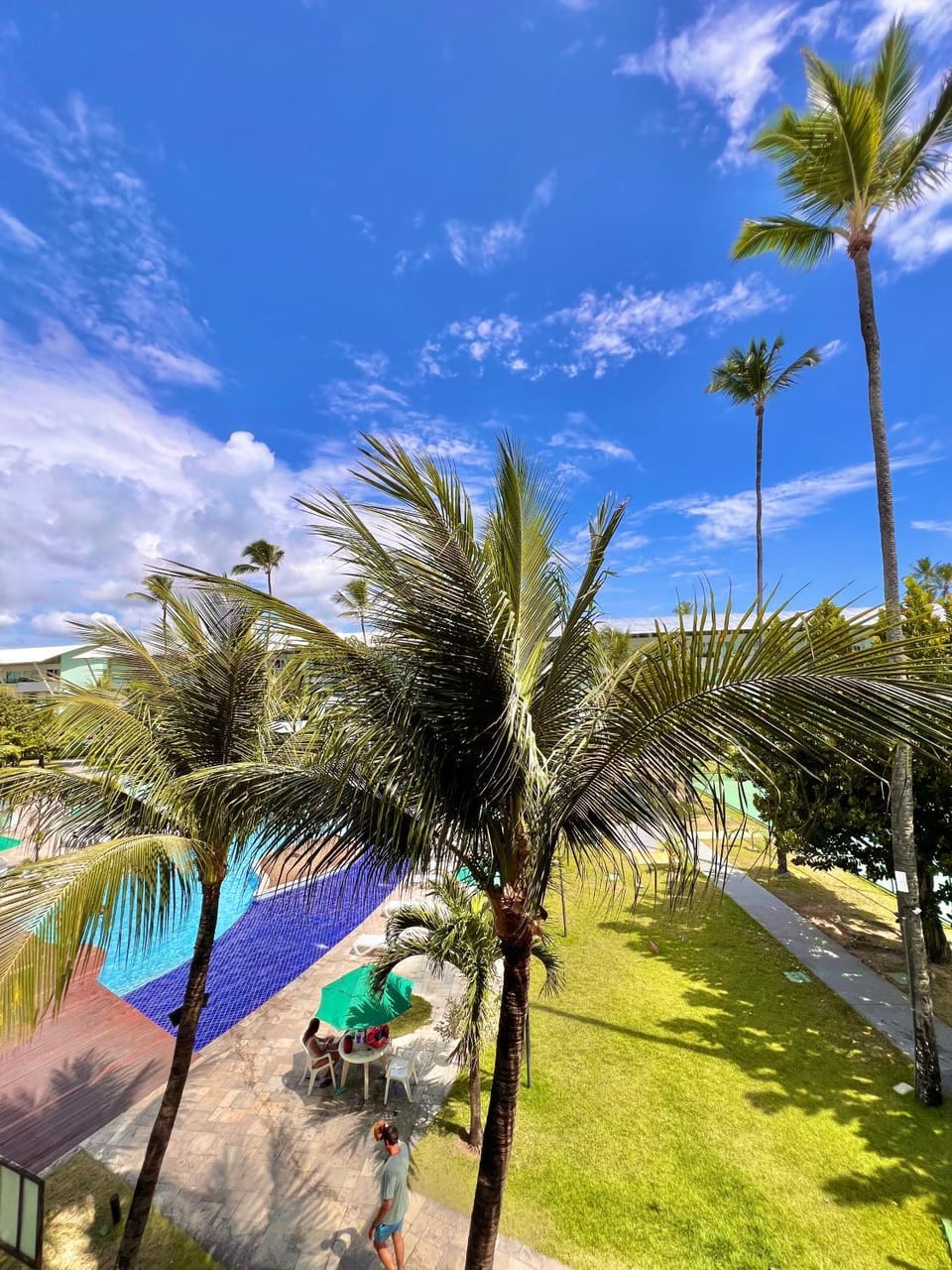 Garden, Pool view, Swimming pool