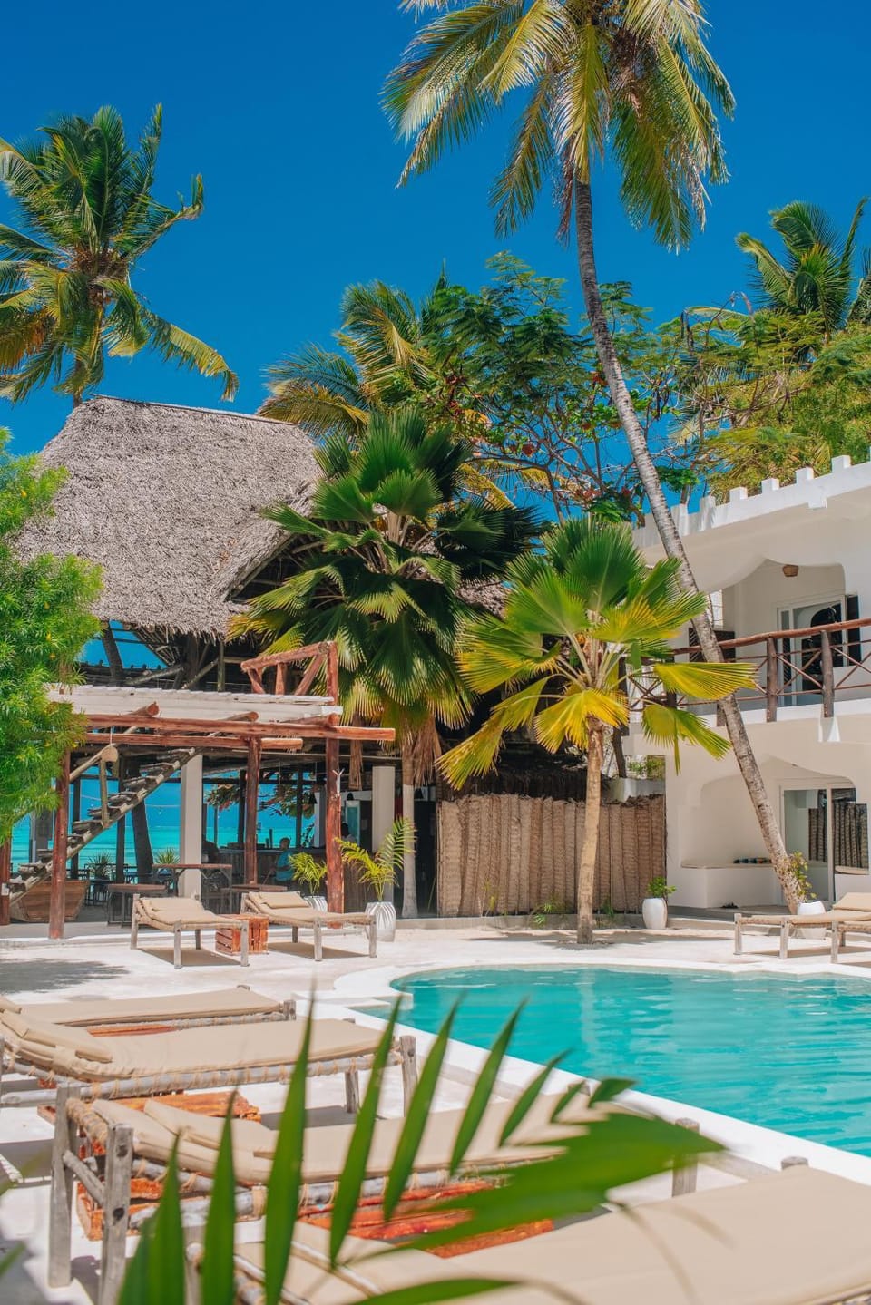 Property building, Day, Garden, Garden view, Pool view, Swimming pool, Sunrise, sunbed
