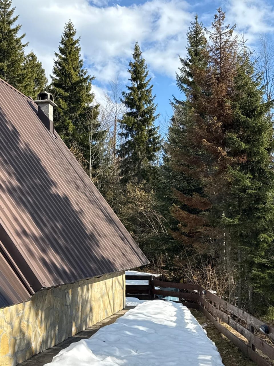 Planinska kuca ANDJELA 1 & sauna House in Zlatibor District, Serbia