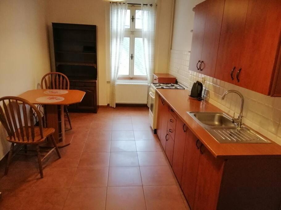 Apartment in city center Apartment in Saxony