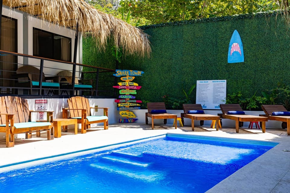 Day, Pool view, Swimming pool, sunbed