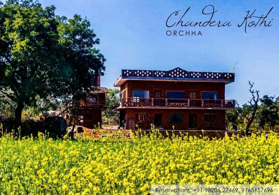 Property building, Garden view