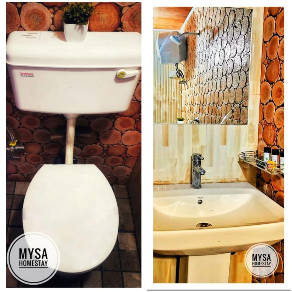 Toilet, Bathroom
