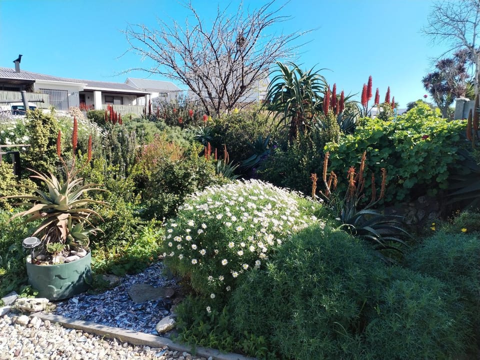 Intimi2 House in Western Cape