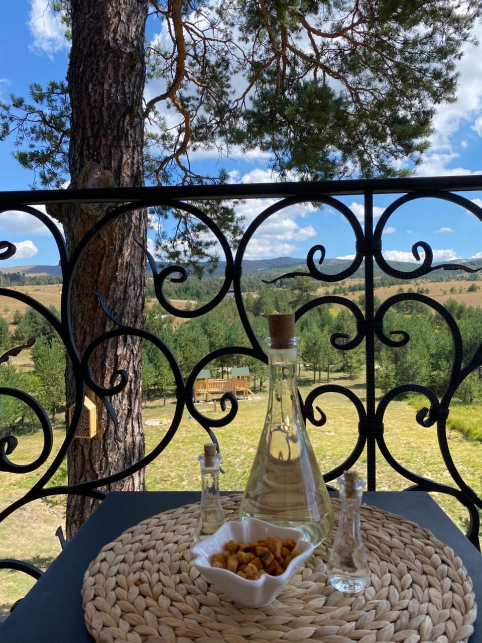 Vila Čarna Zlatibor House in Zlatibor District, Serbia