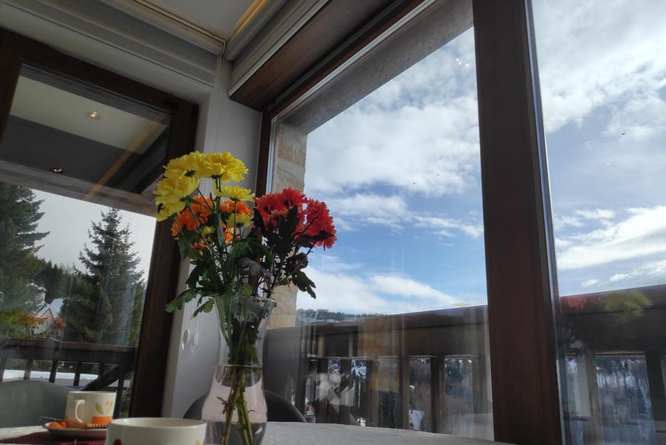 Living room, Mountain view