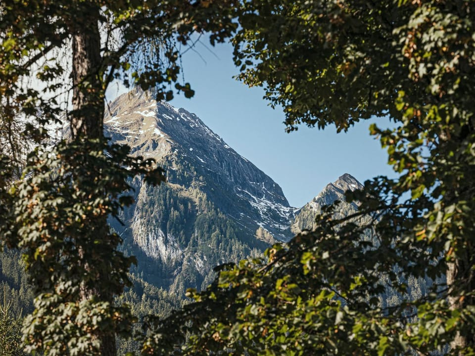 Mountain view