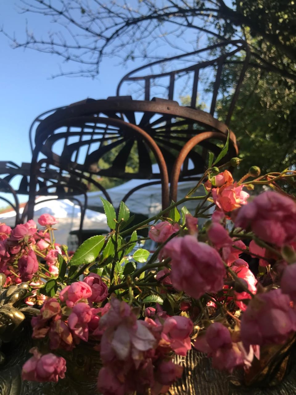 Un Verger dans la Ville Bed and Breakfast in Bourgogne-Franche-Comté