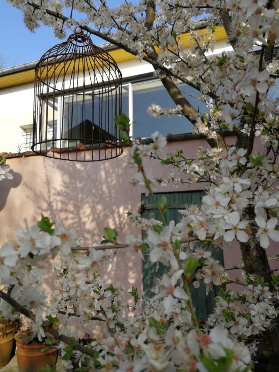 Un Verger dans la Ville Bed and Breakfast in Bourgogne-Franche-Comté