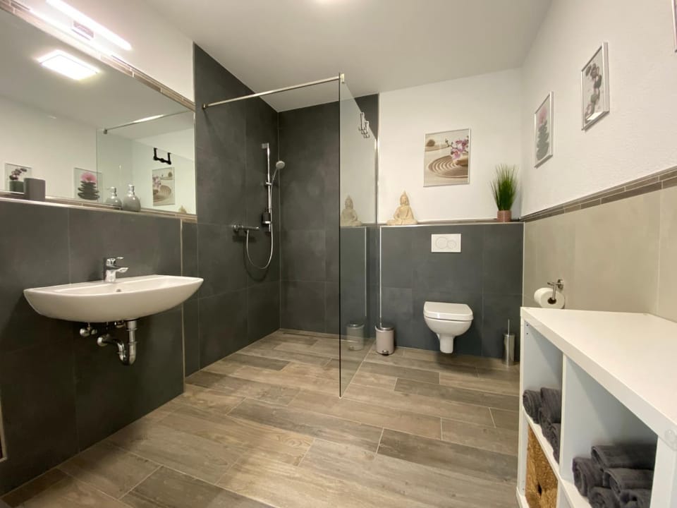 Shower, Toilet, Bathroom, acessibility