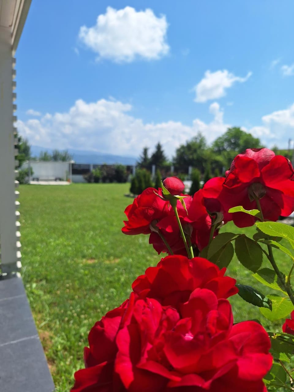 Natural landscape, Garden view