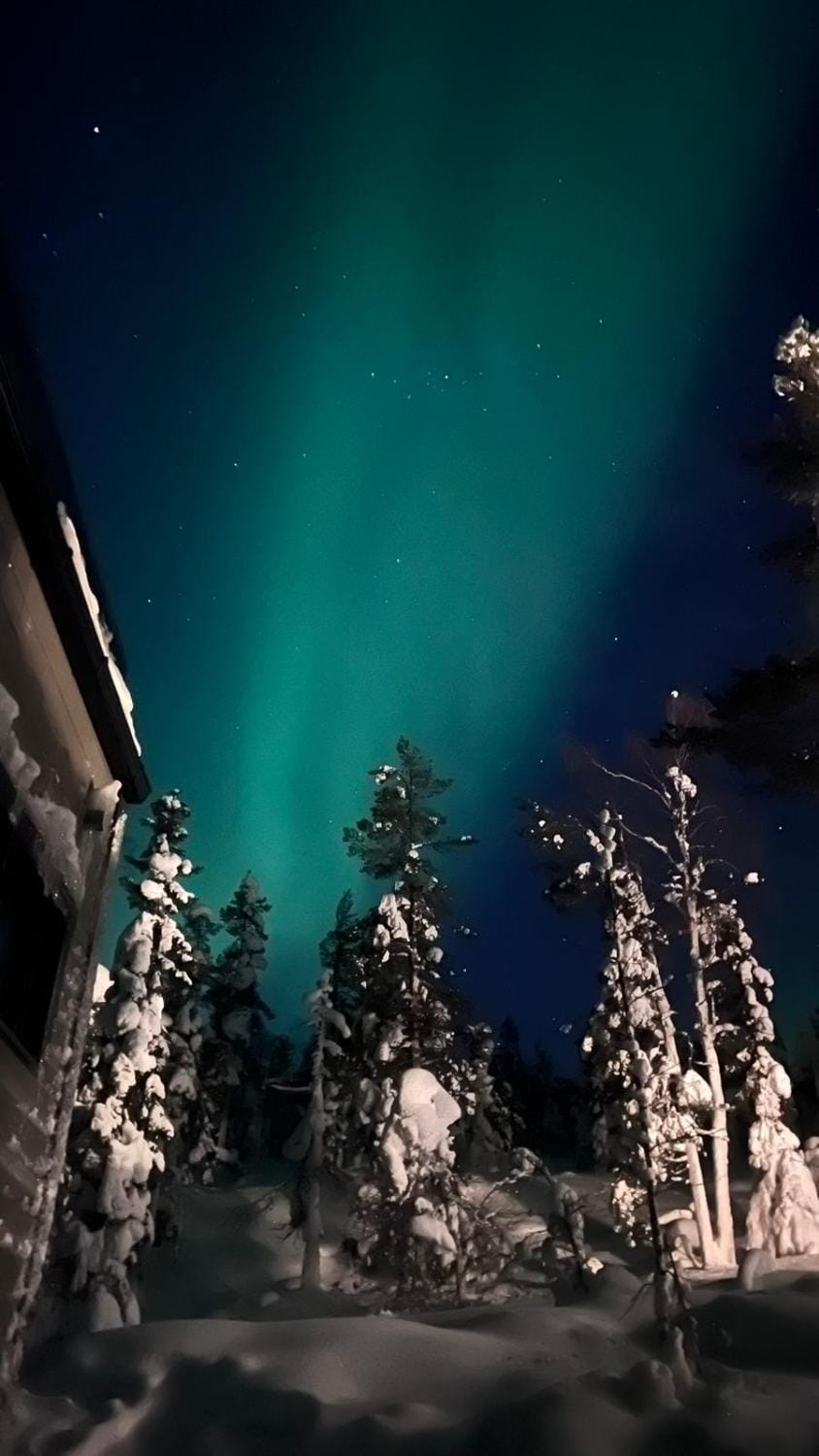 Levin Hurma Villa in Lapland