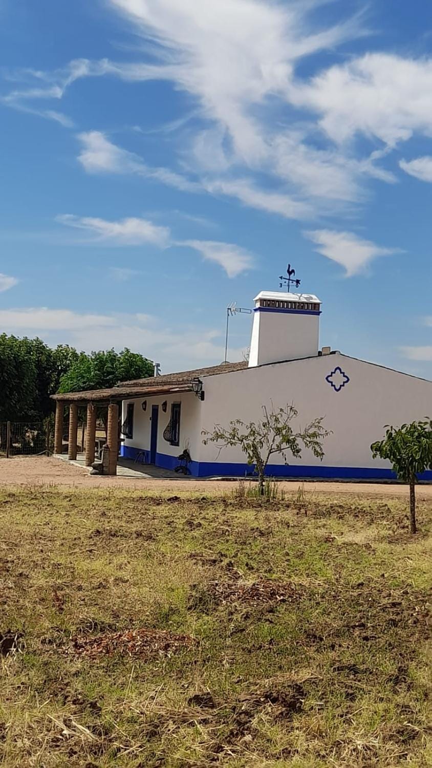 Monte do Ribeiro Baço - Monsaraz House in Monsaraz