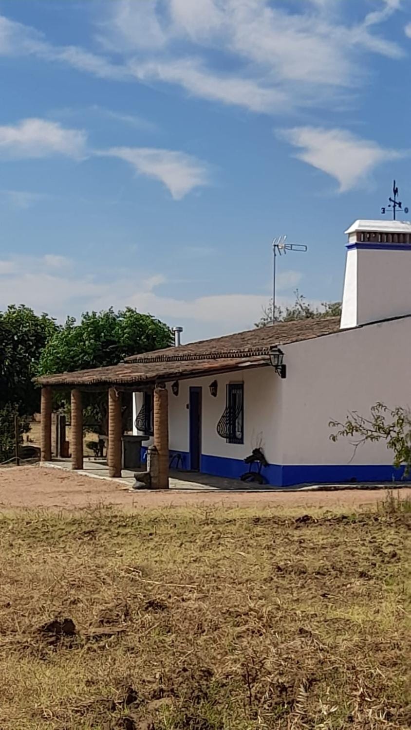 Monte do Ribeiro Baço - Monsaraz House in Monsaraz