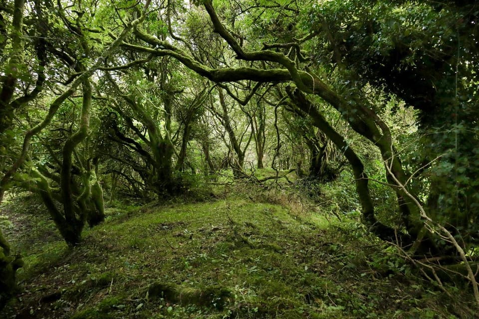 Edmondstown House Country House in County Sligo