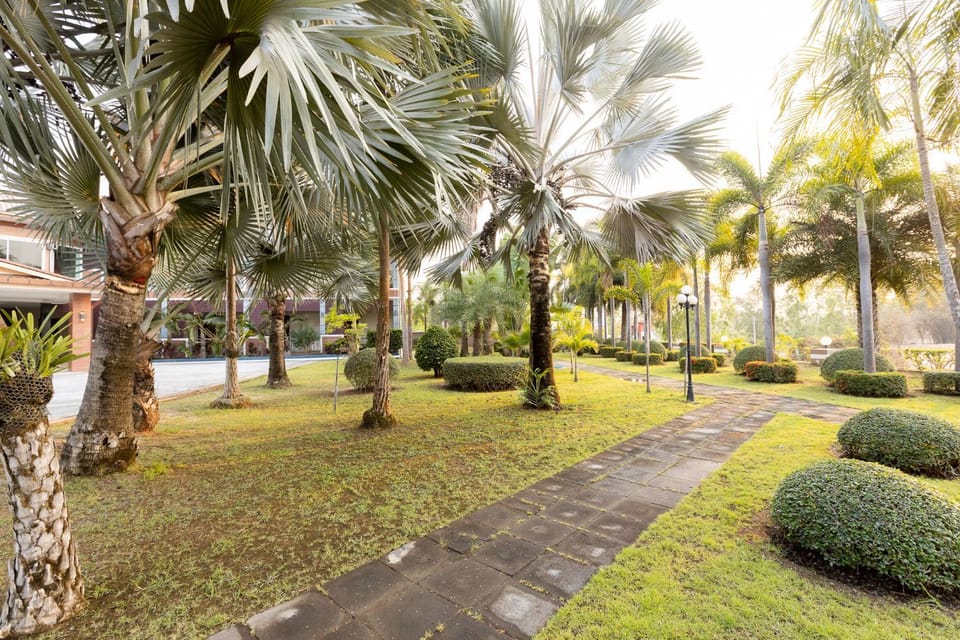 Garden view