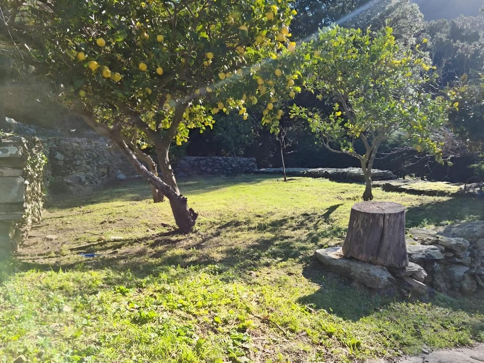 Garden, Garden view