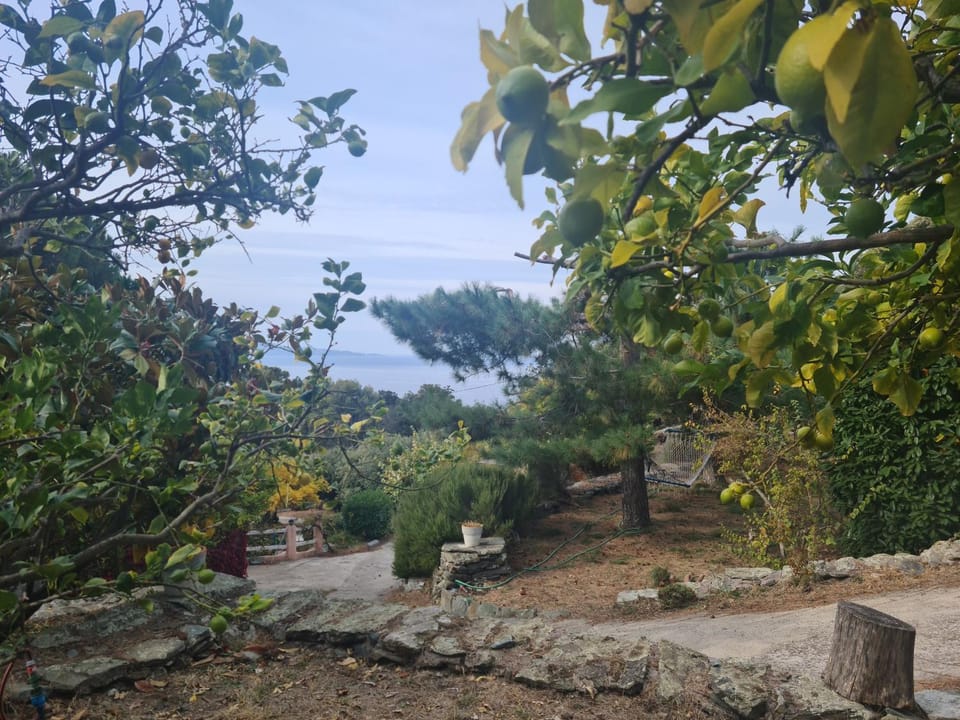 View (from property/room), Garden view, Sea view