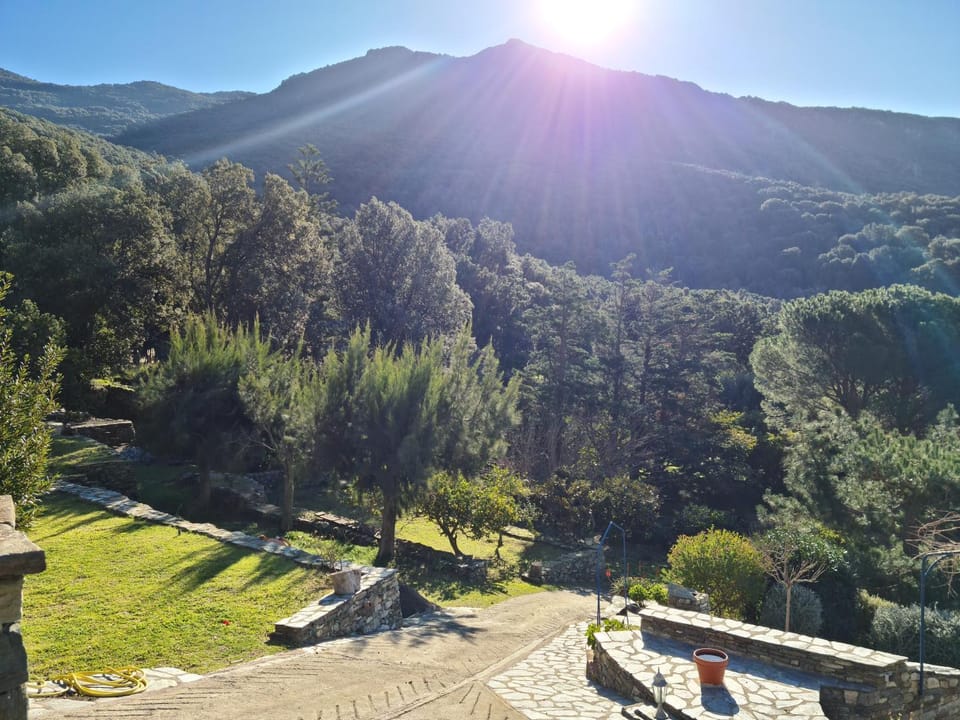 Garden view