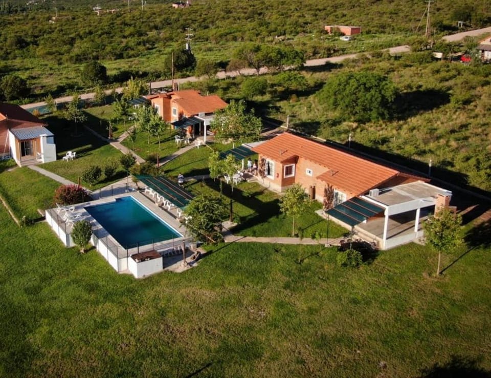 Bird's eye view, Garden