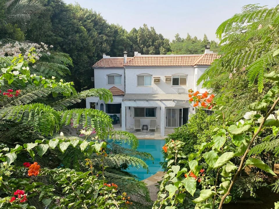 Property building, Pool view