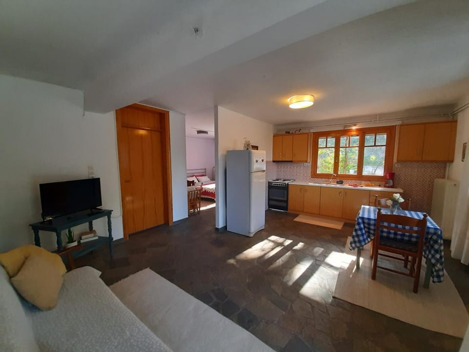Σπίτι σε ελαιώνα, house in an olive grove Apartment in Argolis, Greece