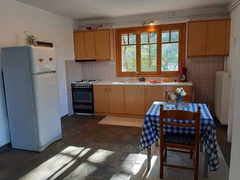 Σπίτι σε ελαιώνα, house in an olive grove Apartment in Argolis, Greece