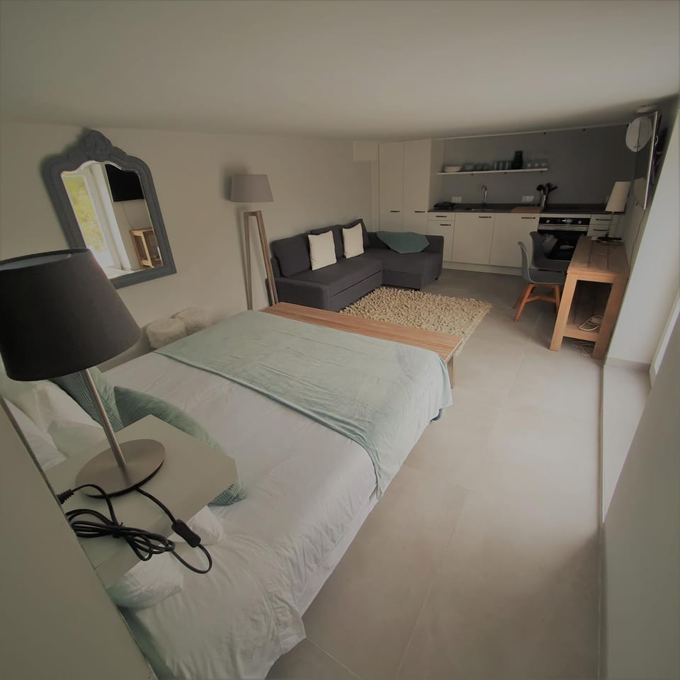 Bed, TV and multimedia, Living room, Photo of the whole room, Bedroom, internet, towels, towels, kitchen