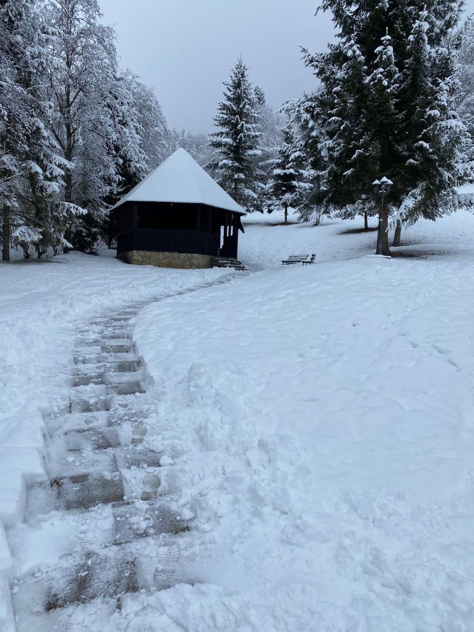 Cabana Runcul Cailor House in Romania