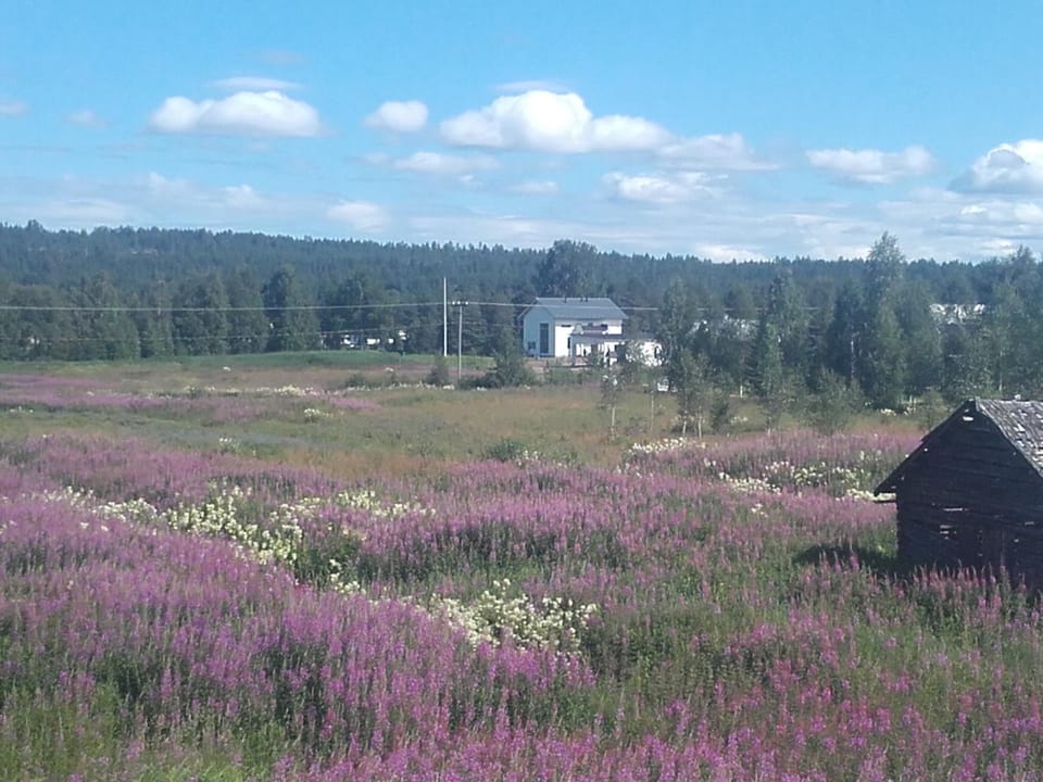 Neighbourhood, Natural landscape