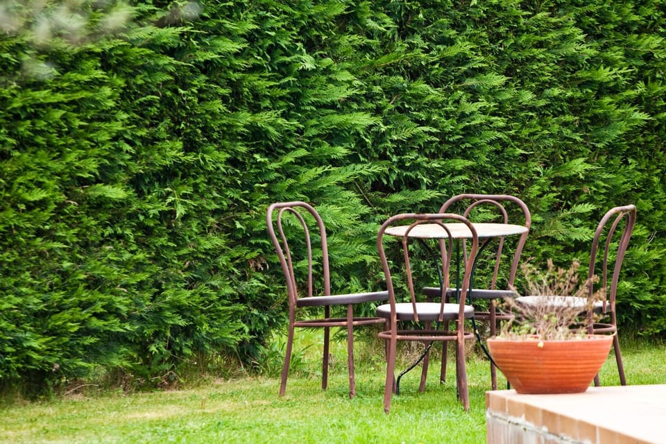 Garden, Area and facilities