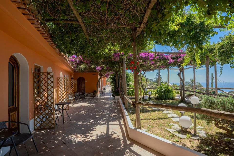 Garden, Balcony/Terrace