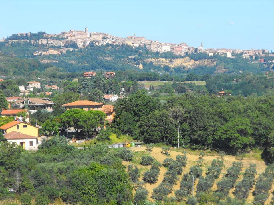 Neighbourhood, Natural landscape