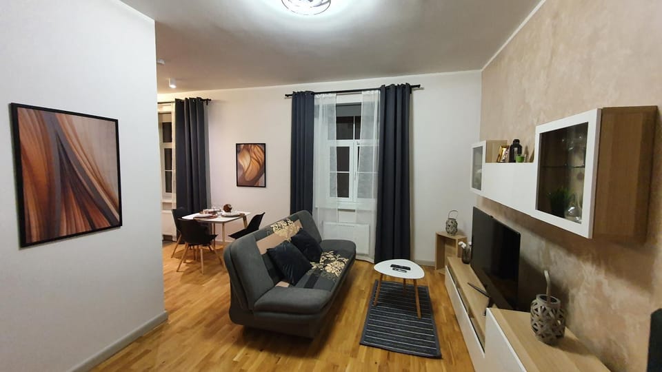 Dream Apartment Blaumana Apartment in Riga
