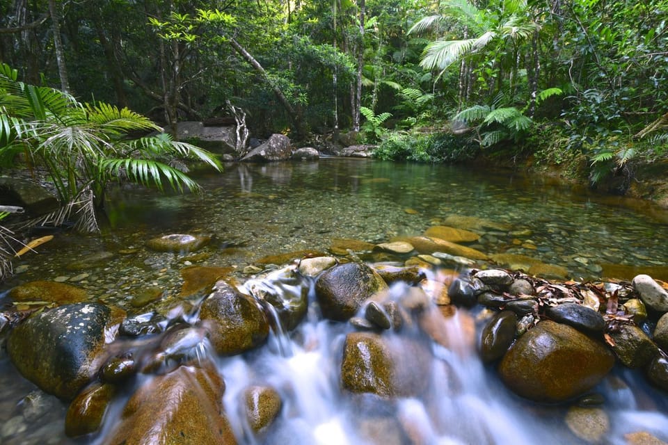 Natural landscape, On site